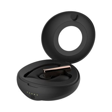 Вибратор в трусики Rosy Gold - Remote Control Panty Vibrator SX3922 фото