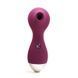 Вакуумный стимулятор KISTOY Polly Violet SO6543 фото 1