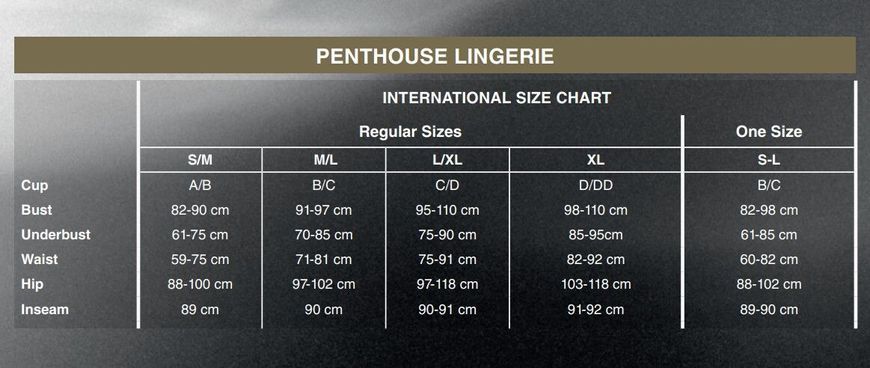 Комплект боді та спідниця Penthouse &mdash; Best Foreplay Black M/L SO4375 фото