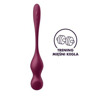 Смарт-вагинальные шарики с вибрацией Satisfyer Love Birds Vary Connect App, изменяемая масса, пульт SX1216 фото