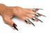 Набор колец с когтями Master Series Five-Piece Sensation Claw Rings - Silver SX1191 фото 1