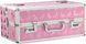 Большой кейс для хранения секс-игрушек BMS Factory Large Lokable Vibrator Case Pink, кодовый замок SO8900 фото 1