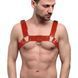 Мужская портупея на грудь Feral Feelings - Bulldog Harness Red SO9307 фото 3