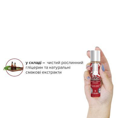 Набор лубрикантов System JO Naughty or Nice Gift Set &ndash; Candy Cane & Gingerbread (2&times;30 мл) SO6163 фото